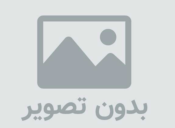 آیکون زیبای دلفین